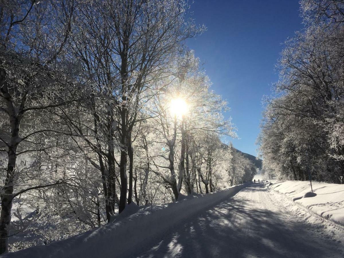 6 Dorfstrasse Διαμέρισμα Oberwald Εξωτερικό φωτογραφία